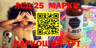 гидра Можга