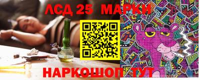 шишки Можайск