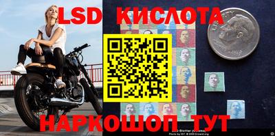 шишки Можайск
