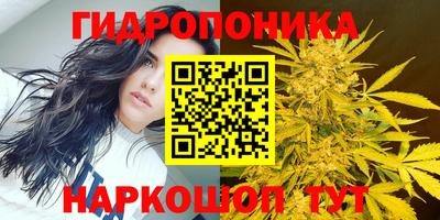 шишки Можайск