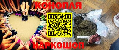 гидра Можга