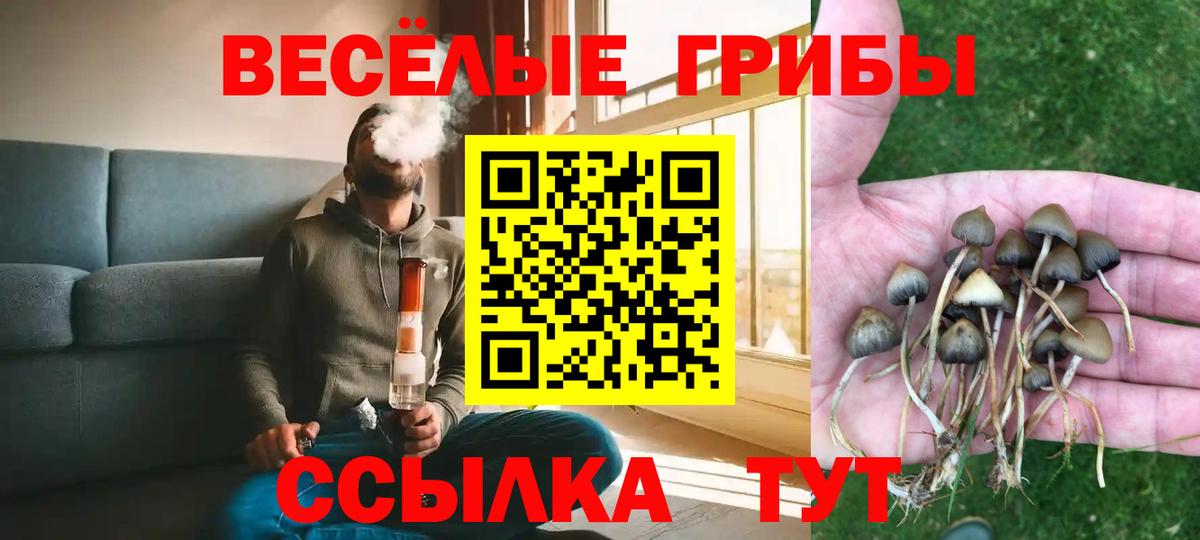 Псилоцибиновые грибы мухоморы  Галлюциногенные грибы Psilocybine cubensis  Вход с VPN  Уварово 